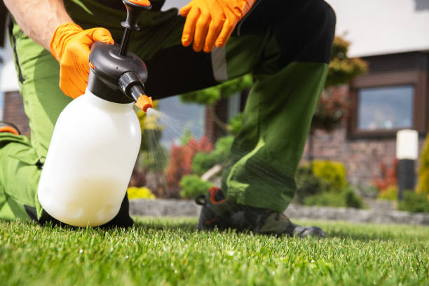 Best Wildlife Control Services  in Pitola, CA