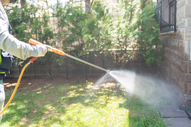 Best Cockroach Control Services  in Pitola, CA